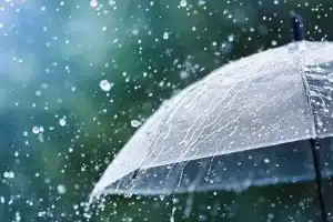 Telangana Weather Alert: Light Rain, Thunderstorms, and Safety Tips