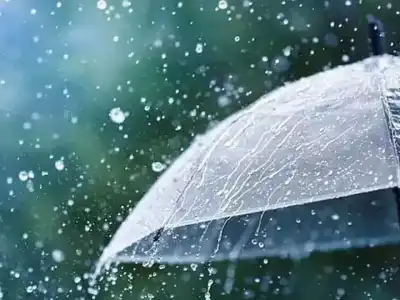 Telangana Weather Alert: Light Rain, Thunderstorms, and Safety Tips