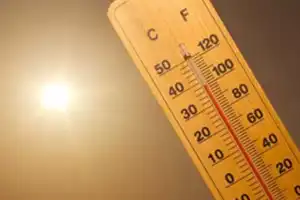 Telangana Weather Warning: Hot, Humid, and Stormy Today