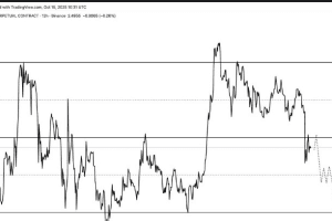 Best Cryptos to Buy for 2025: Should You Invest in Ripple and Mutuum Finance Now?