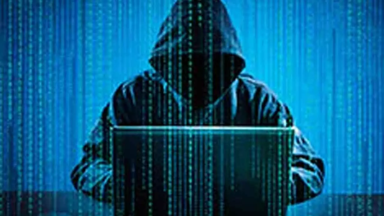 Cyber crime cases rise in 2023