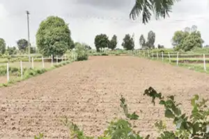 Housing Board will auction land next week