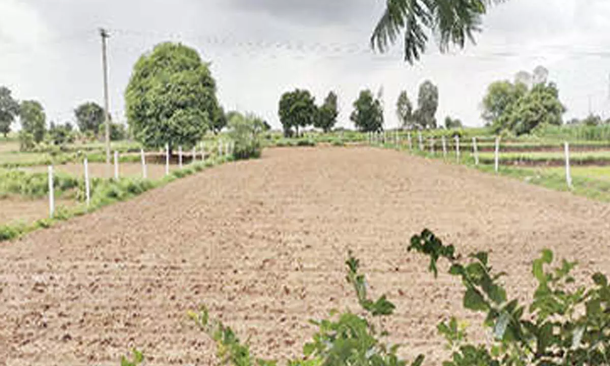 Housing Board will auction land next week