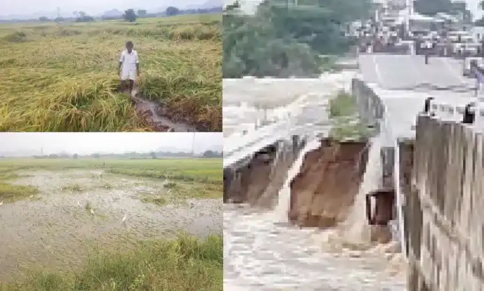 Rains cause major damage in Palamuru