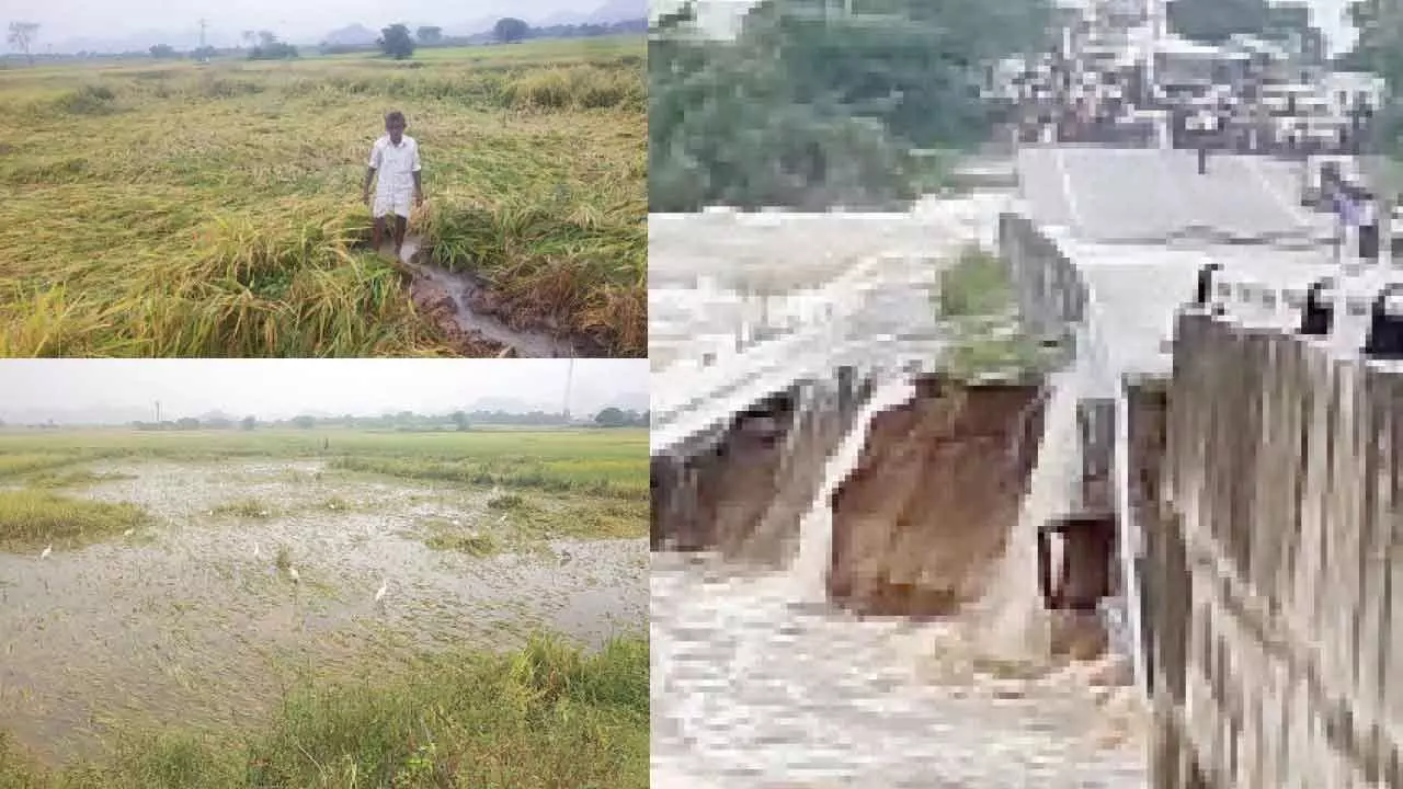 Rains cause major damage in Palamuru