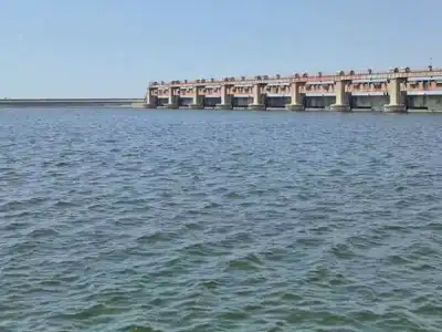 Rivers in Krishna-Godavari Areas Have High Water Levels; Good News for Irrigation