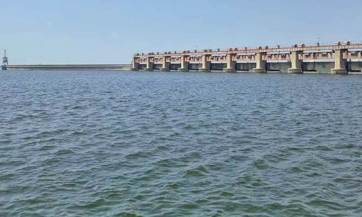 Rivers in Krishna-Godavari Areas Have High Water Levels; Good News for Irrigation