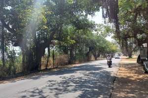 TSPA–Manneguda (NH-163) Highway Expansion Cleared After NGT Case Settlement