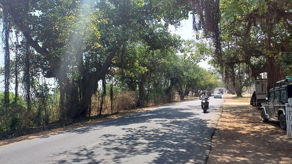 TSPA–Manneguda (NH-163) Highway Expansion Cleared After NGT Case Settlement