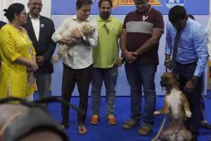 KTR Inaugurates HyCan 2025 Pet Show With 500 Dogs in Hyderabad