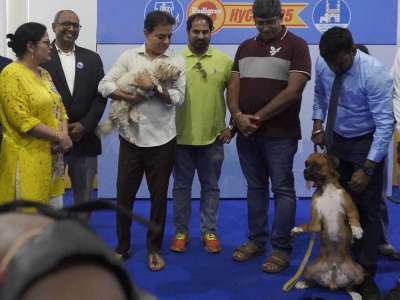 KTR Inaugurates HyCan 2025 Pet Show With 500 Dogs in Hyderabad