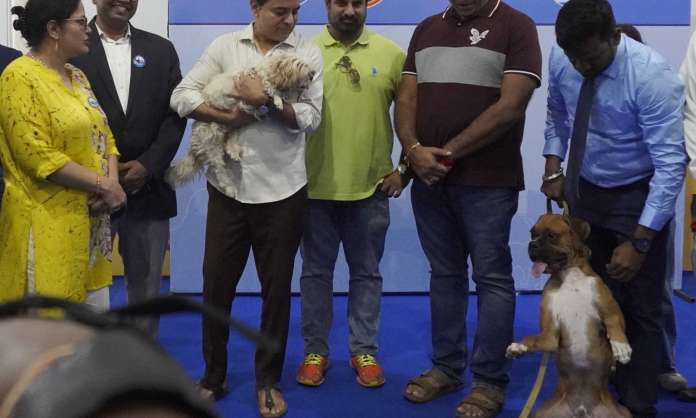 KTR Inaugurates HyCan 2025 Pet Show With 500 Dogs in Hyderabad