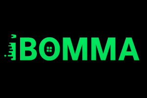 Main suspect behind iBOMMA piracy website used another company to run site and made 20 crores