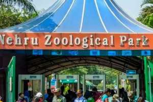 Hyderabad zoo sees record 23,000 visitors on Christmas