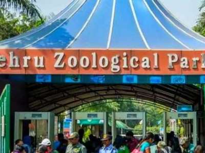 Hyderabad zoo sees record 23,000 visitors on Christmas