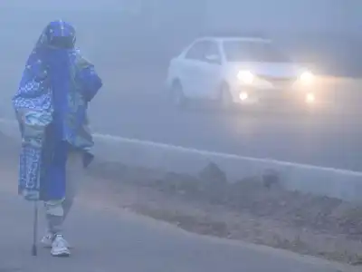 Telangana Shivers Through 21st Consecutive Day of Intense Cold Wave
