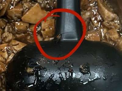 Cockroach Found in Subway Outlet at Gachibowli, Staff Denies Incident Despite Photo