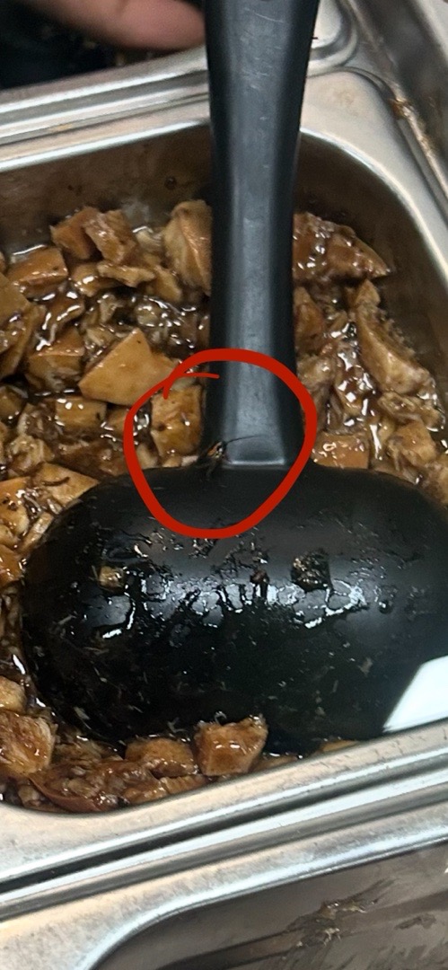 Cockroach Found in Subway Outlet at Gachibowli, Staff Denies Incident Despite Photo