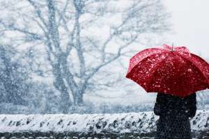 Telangana Braces for Coldwave from January 5-12 with Foggy Weather