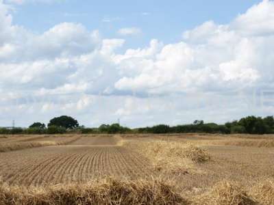 Telangana Dry Weather Returns Today, Night Temperatures to Drop to 13-14°C