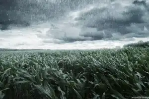 Telangana Braces for Unseasonal Rains and Thunderstorms Starting February 22