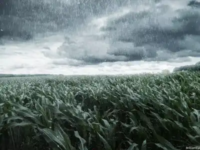 Telangana Braces for Unseasonal Rains and Thunderstorms Starting February 22