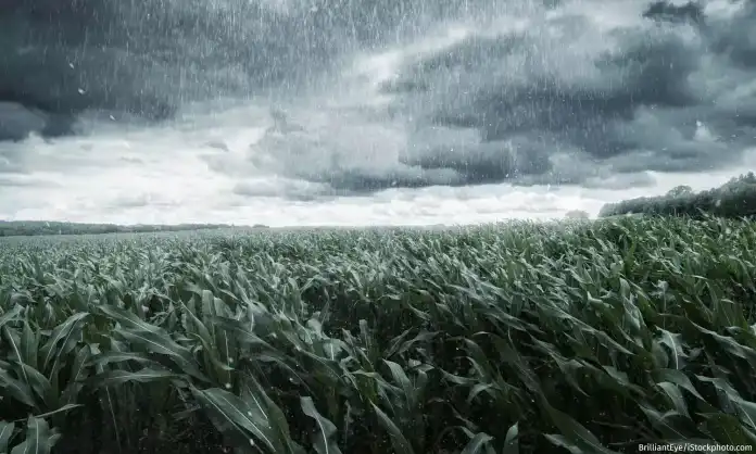 Telangana Braces for Unseasonal Rains and Thunderstorms Starting February 22