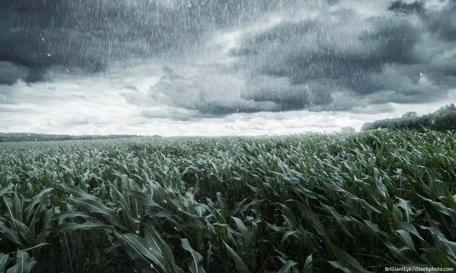 Telangana Braces for Unseasonal Rains and Thunderstorms Starting February 22