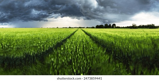 Telangana Braces for Unseasonal Rains, Thunderstorms, and Hailstorms from February 23-25