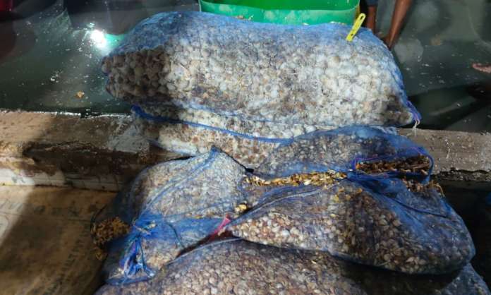 Hyderabad: Man arrested with fake ginger-garlic paste worth Rs 22 lakh