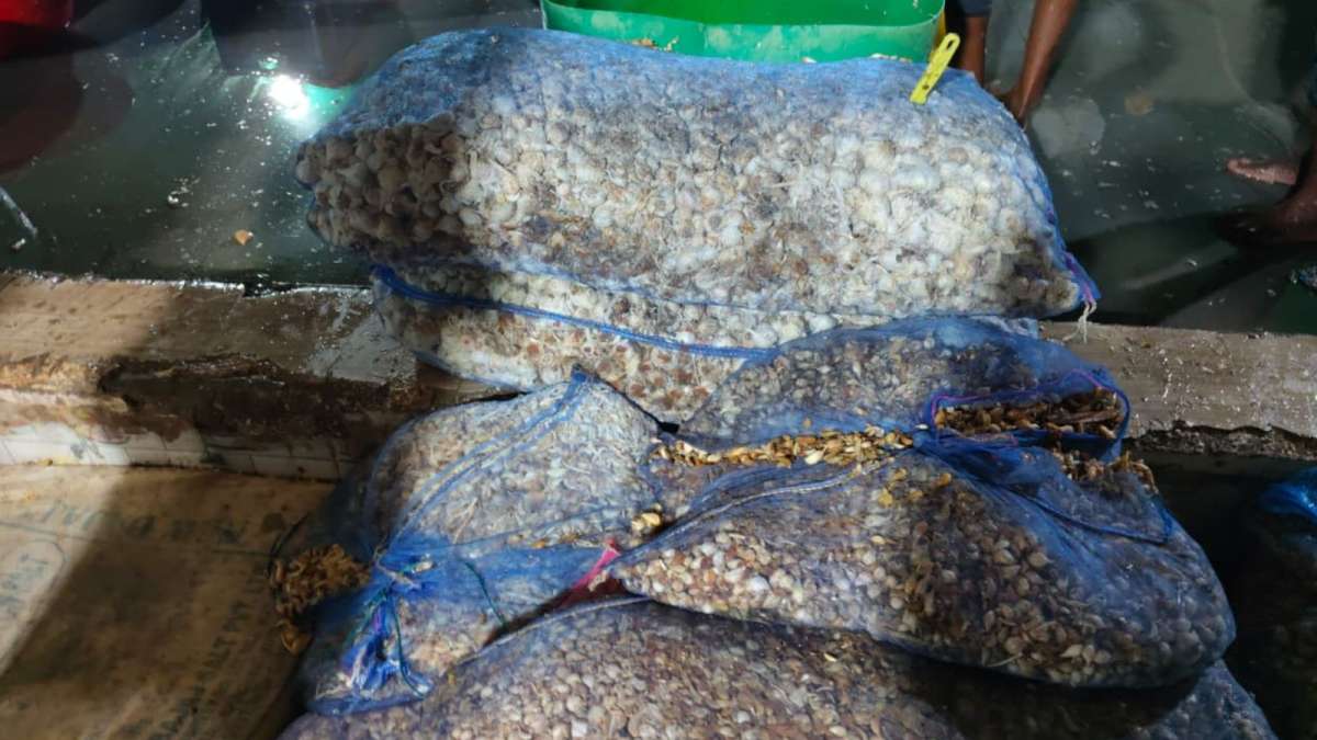 Hyderabad: Man arrested with fake ginger-garlic paste worth Rs 22 lakh