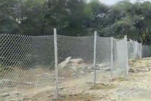 HYDRAA Protects 16 Acres Government Land Worth ₹3,200 Crore in TNGO Colony