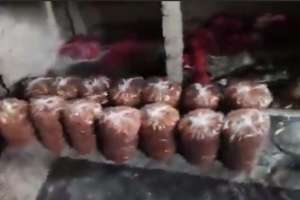 Hyderabad: Naseeb Biryani Sealed After 1000kg Onions, Used Cooking Oil Seized in Kukatpally Raid