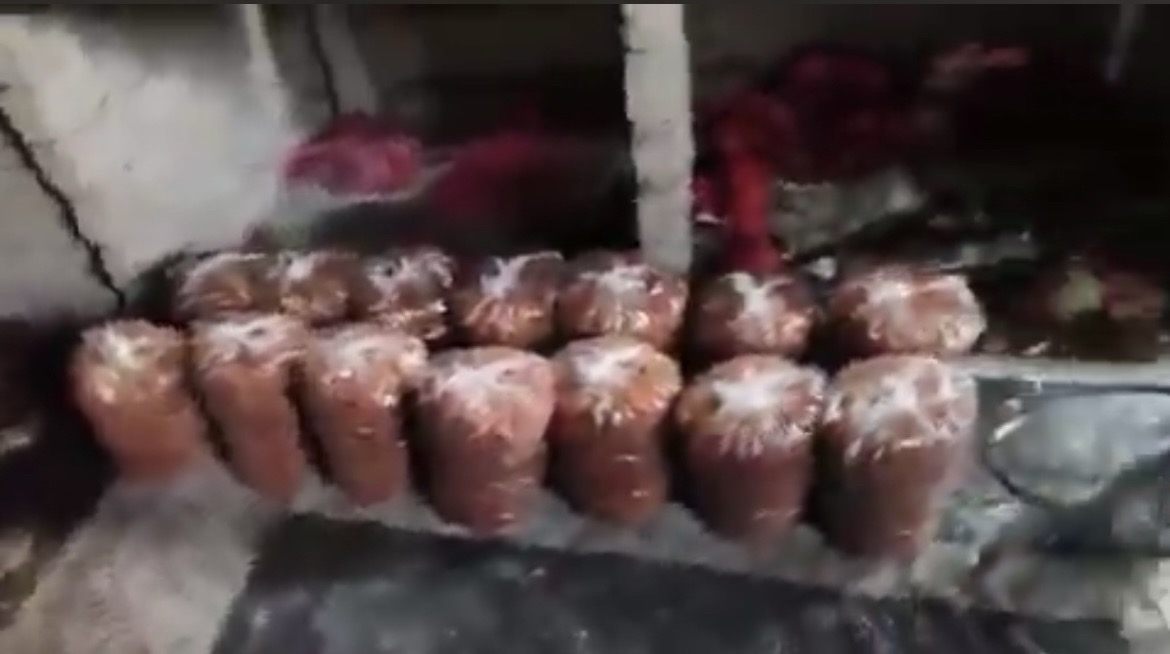 Hyderabad: Naseeb Biryani Sealed After 1000kg Onions, Used Cooking Oil Seized in Kukatpally Raid