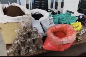 Hyderabad Police Bust Tea Adulteration Racket, Seize 3000kg Chemical-Mixed Tea Powder