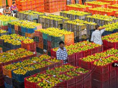 Koheda Fruit Market DPR Completed: Asia’s Largest Horticulture Hub to Come Up on 417 Acres