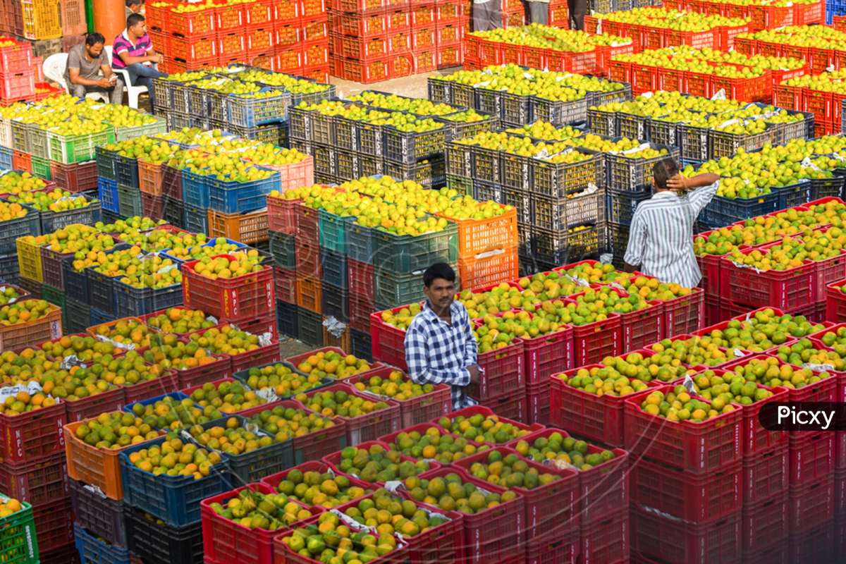 Koheda Fruit Market DPR Completed: Asia’s Largest Horticulture Hub to Come Up on 417 Acres