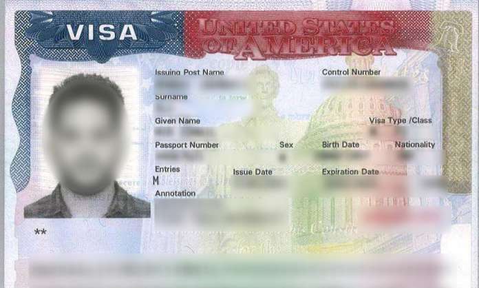 US work visas for Indians may face delays due to high demand
