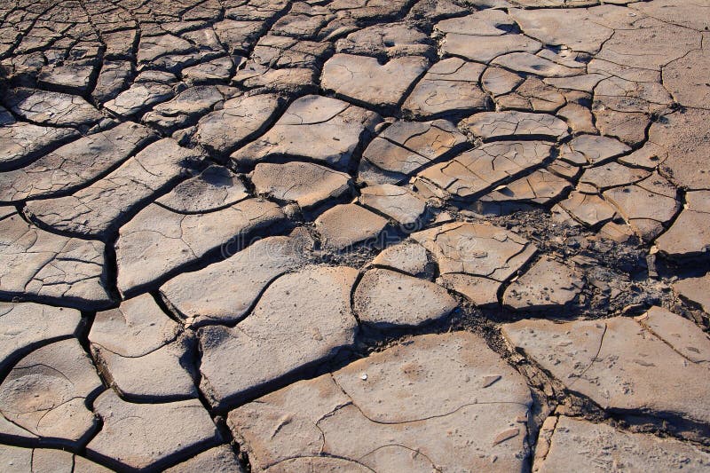 El Niño Alert for Telangana: Experts Advise Water Conservation as Rainfall May Reduce