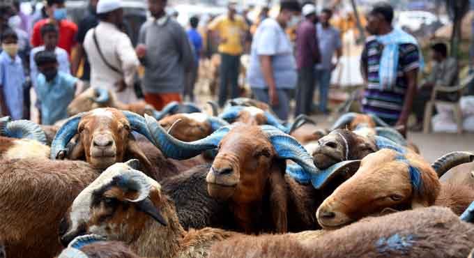 Hyderabad Traffic Diversions for Bakrid: Tolichowki-Mehdipatnam Routes Affected May 27-28