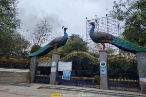 KBR Park Grade Separator Project Promises Zero Tree Cutting, 72% Pollution Reduction