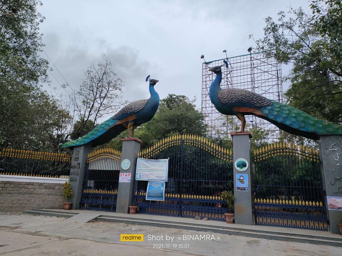KBR Park Grade Separator Project Promises Zero Tree Cutting, 72% Pollution Reduction
