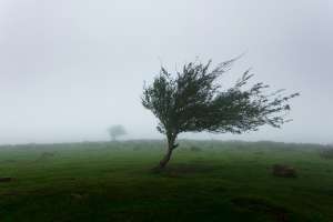Severe Thunderstorm Alert Issued for Eastern Telangana Districts