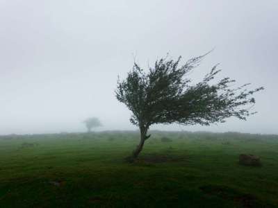 Severe Thunderstorm Alert Issued for Eastern Telangana Districts