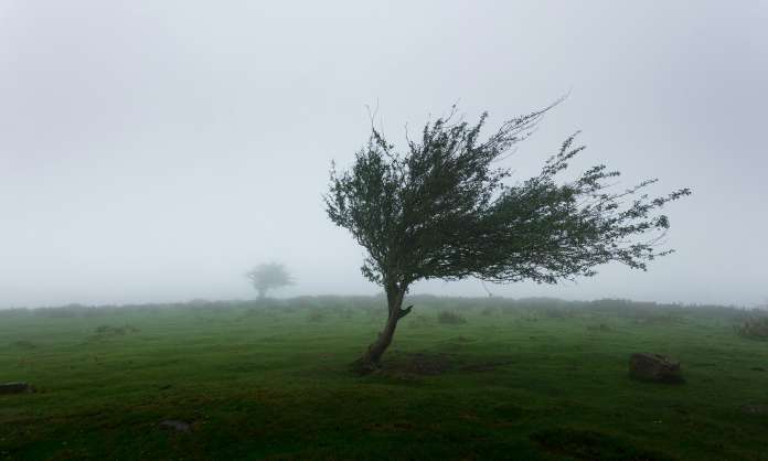 Severe Thunderstorm Alert Issued for Eastern Telangana Districts