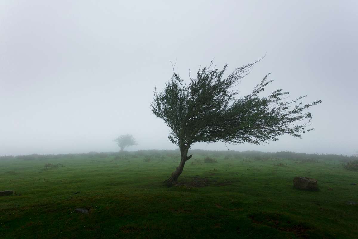 Severe Thunderstorm Alert Issued for Eastern Telangana Districts