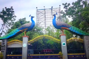Supreme Court Halts Tree Felling Around KBR Park in Hyderabad