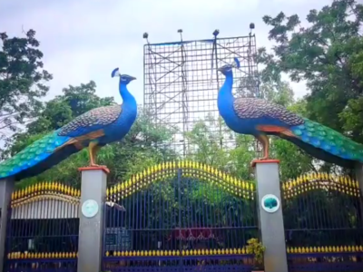 Supreme Court Halts Tree Felling Around KBR Park in Hyderabad