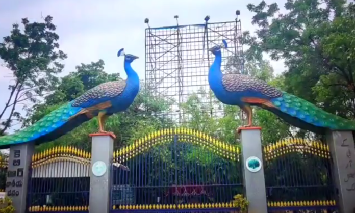 Supreme Court Halts Tree Felling Around KBR Park in Hyderabad