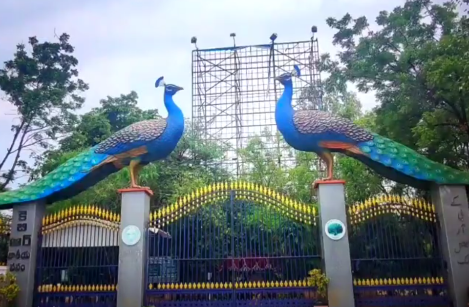 Supreme Court Halts Tree Felling Around KBR Park in Hyderabad